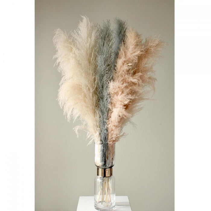 ビッグテールリード