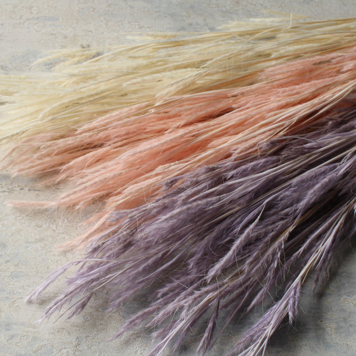 ビッグテールリード