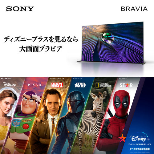 ソニー BRAVIA 55V型 4K液晶テレビ  XRJ55X90K