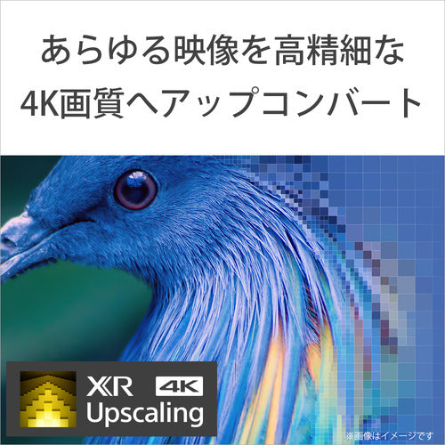 ソニー BRAVIA55型 有機ELテレビ XRJ-55A80L