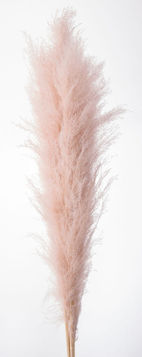 ピンクベージュ