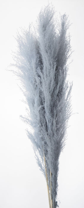 ビッグテールリード