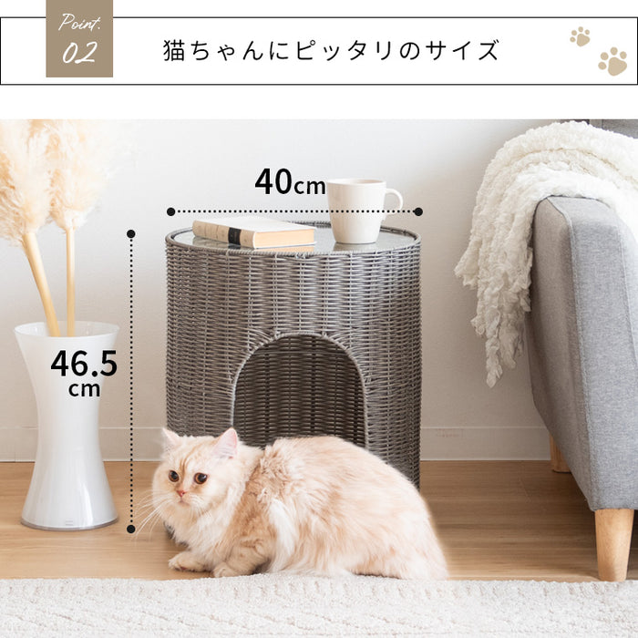 猫ちぐら