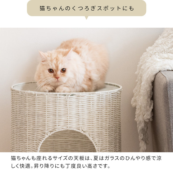 猫ちぐら