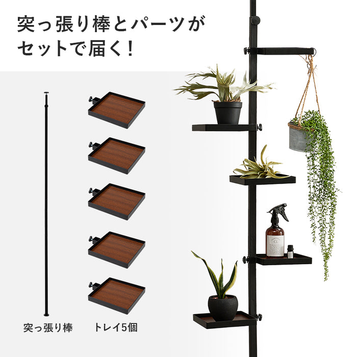 突っ張りラック6点セット