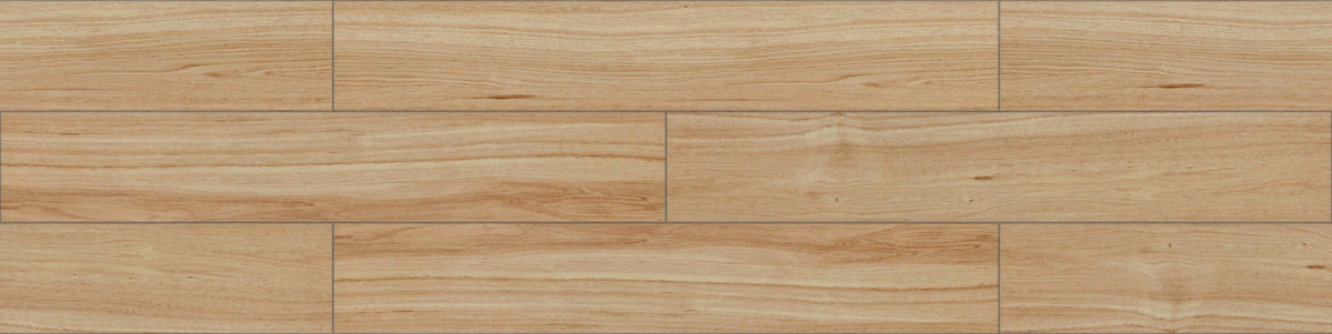 TTN3105_B_1_1200x600_crop_cent